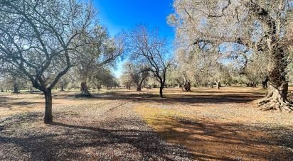 Trullo 0 locali di 40 m² in Francavilla Fontana (72021)