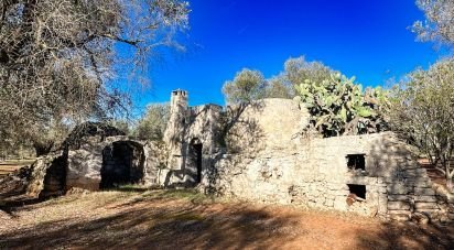 Trullo 0 locali di 40 m² in Francavilla Fontana (72021)