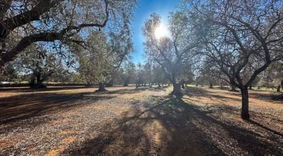 Trullo 0 locali di 40 m² in Francavilla Fontana (72021)