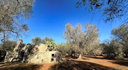 Trullo 0 locali di 40 m² in Francavilla Fontana (72021)