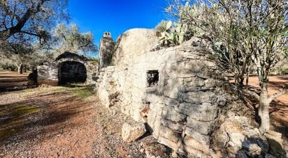 Trullo 0 locali di 40 m² in Francavilla Fontana (72021)