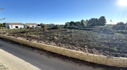 Terreno di 2.100 m² in Avola (96012)