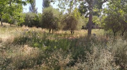 Terreno di 600 m² in Città Sant'Angelo (65013)