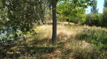 Terreno di 600 m² in Città Sant'Angelo (65013)