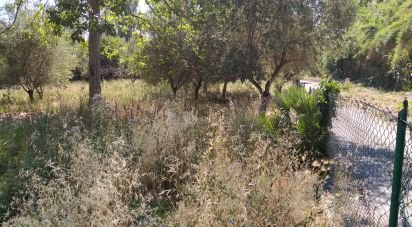 Terreno di 600 m² in Città Sant'Angelo (65013)