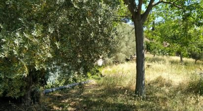 Terreno di 600 m² in Città Sant'Angelo (65013)