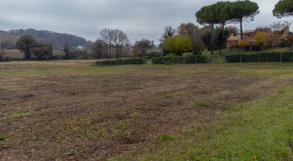 Terreno edificabile di 10.060 m² in Offagna (60020)