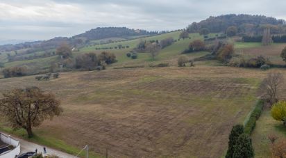Terreno edificabile di 10.060 m² in Offagna (60020)