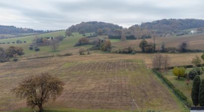 Terreno edificabile di 10.060 m² in Offagna (60020)