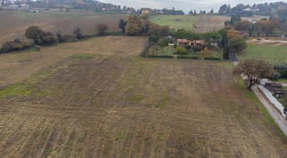 Terreno edificabile di 10.060 m² in Offagna (60020)