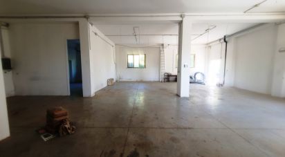 Attività locali di 200 m² in Recanati (62019)