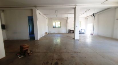 Attività locali di 200 m² in Recanati (62019)