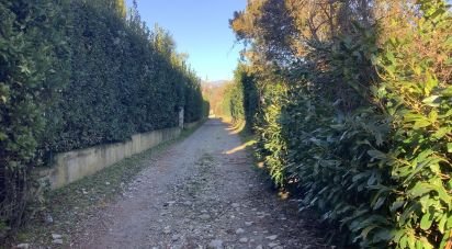 Farm land of 4,000 m² in Pistoia (51100)
