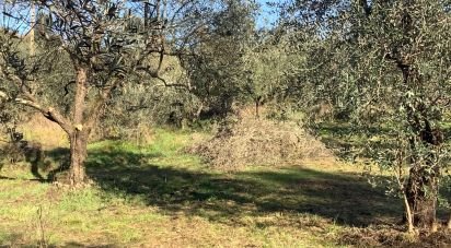 Farm land of 4,000 m² in Pistoia (51100)