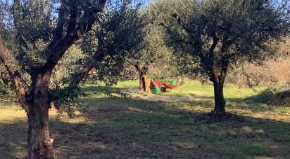 Farm land of 4,000 m² in Pistoia (51100)