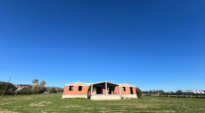 Other surface of 5,000 m² in Cardedu (08040)