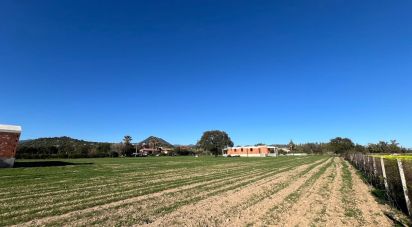 Other surface of 5,000 m² in Cardedu (08040)