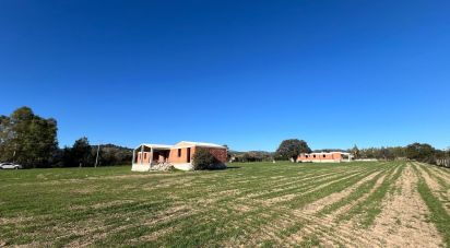 Other surface of 5,000 m² in Cardedu (08040)