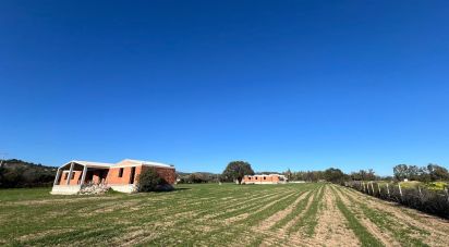 Other surface of 5,000 m² in Cardedu (08040)