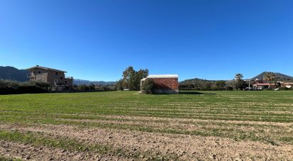 Other surface of 5,000 m² in Cardedu (08040)