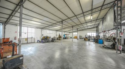 Warehouse of 1,350 m² in Ferrara (44124)