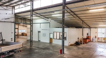 Warehouse of 1,350 m² in Ferrara (44124)