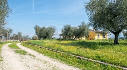 Casale 8 locali di 254 m² in Montelibretti (00010)