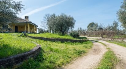 Casale 8 locali di 254 m² in Montelibretti (00010)