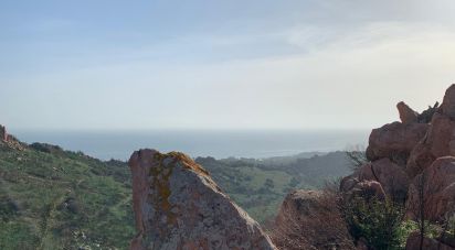 Terreno di 68.000 m² in Tortolì (08048)