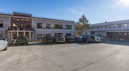 Shop / premises commercial of 600 m² in Castelfidardo (60022)