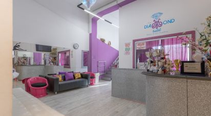 Shop / premises commercial of 600 m² in Castelfidardo (60022)