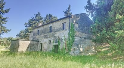 Rustico 0 locali di 300 m² in Offida (63073)