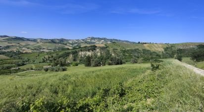 Rustico 0 locali di 300 m² in Offida (63073)