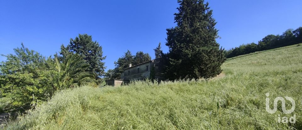 Rustico 0 locali di 300 m² in Offida (63073)