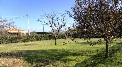 Casa indipendente 12 locali di 2.092 m² in Druento (10040)