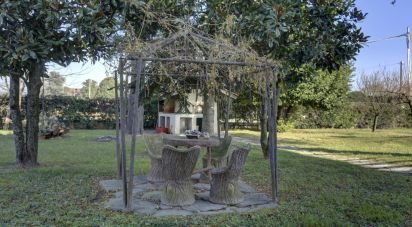 Casa indipendente 12 locali di 2.092 m² in Druento (10040)