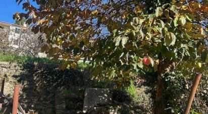 Casa di paese 8 locali di 100 m² in Carro (19012)