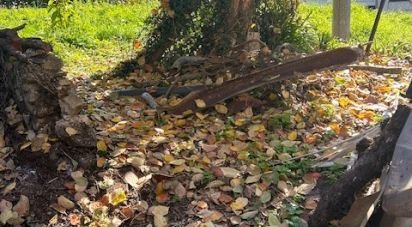 Casa di paese 8 locali di 100 m² in Carro (19012)