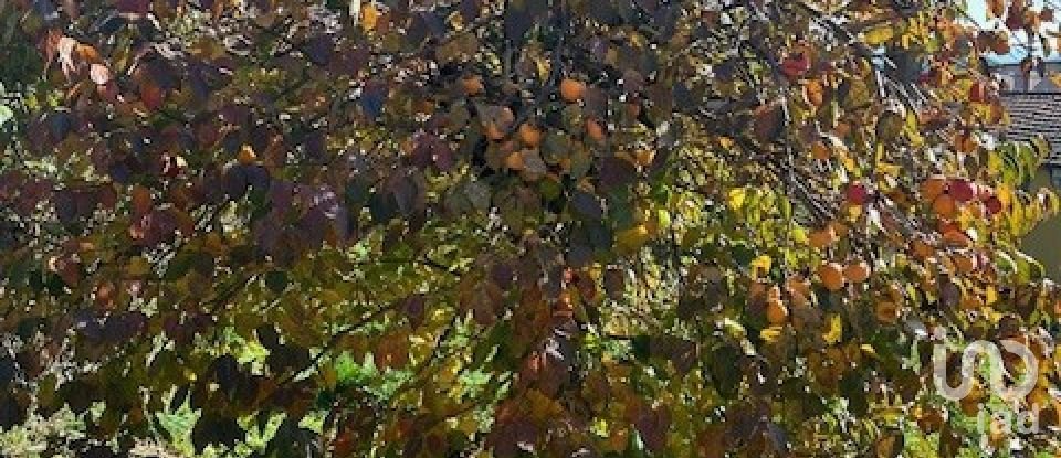 Casa di paese 8 locali di 100 m² in Carro (19012)