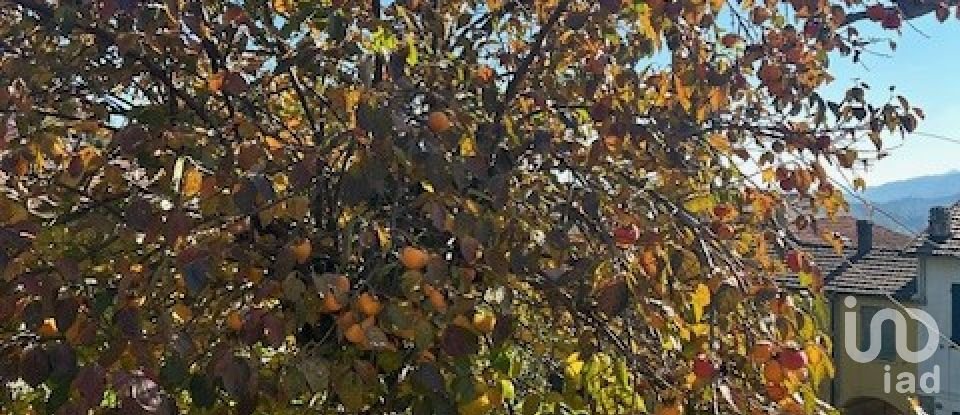 Casa di paese 8 locali di 100 m² in Carro (19012)