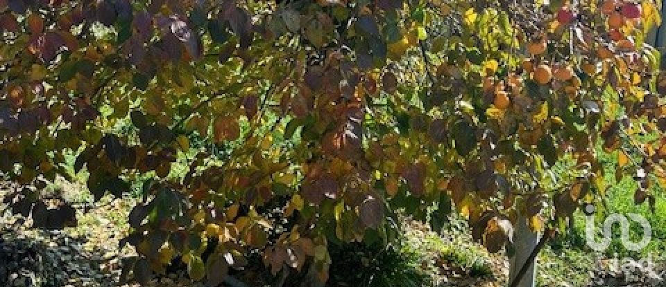 Casa di paese 8 locali di 100 m² in Carro (19012)