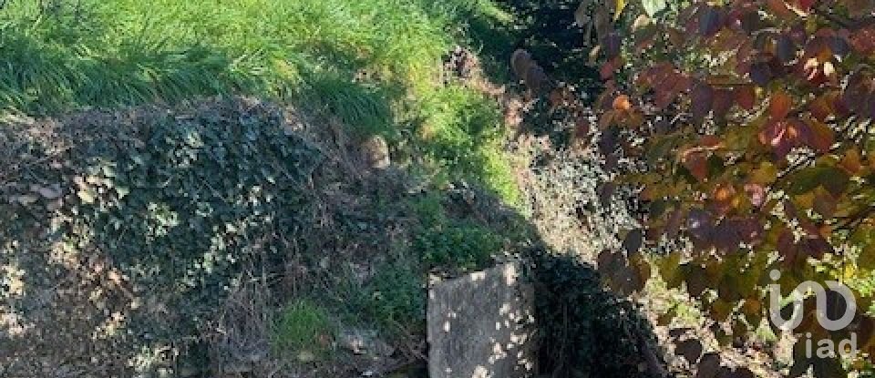 Casa di paese 8 locali di 100 m² in Carro (19012)