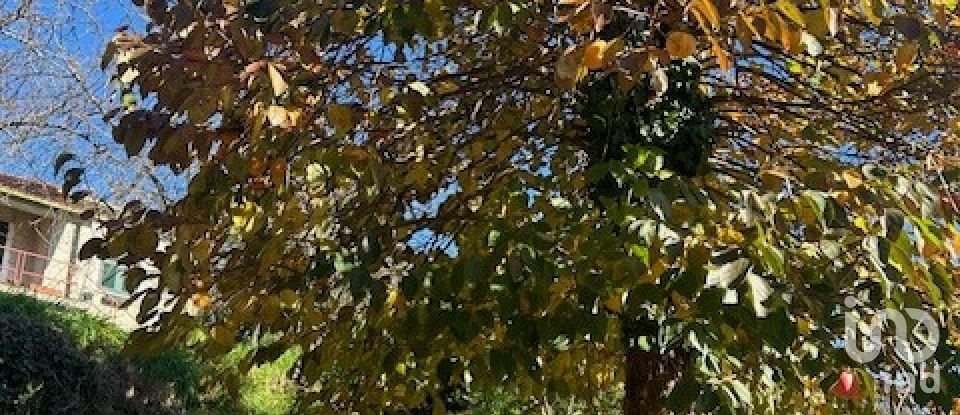 Casa di paese 8 locali di 100 m² in Carro (19012)