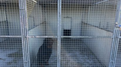 Casa indipendente / Villa 12 locali di 262 m² in Calvisano (25012)