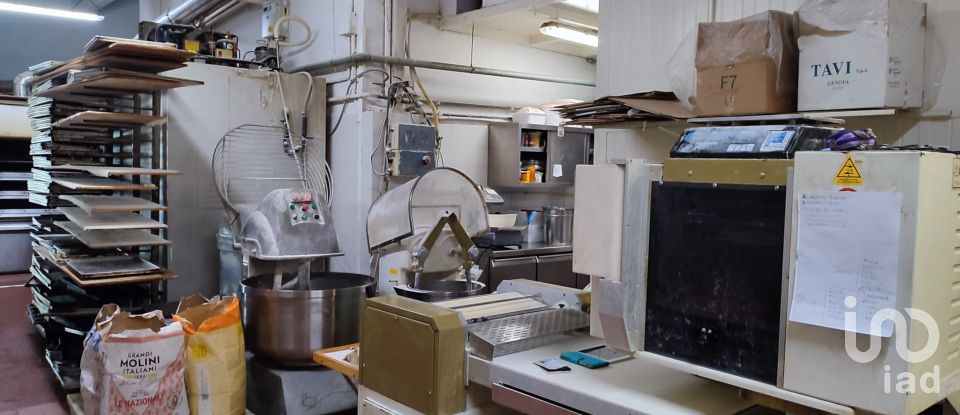 Bakery of 167 m² in Genova (16151)