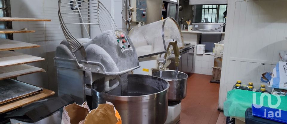 Bakery of 167 m² in Genova (16151)