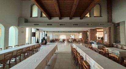 Restaurant of 1,891 m² in Riva presso Chieri (10020)