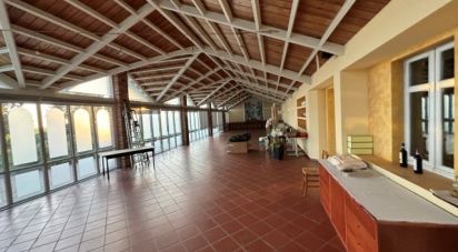 Restaurant of 1,891 m² in Riva presso Chieri (10020)