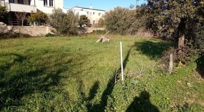Land of 623 m² in Telti (07020)