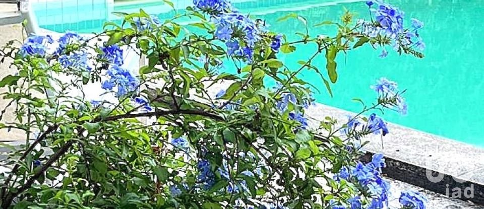 House 10 rooms of 600 m² in Pescara (65124)